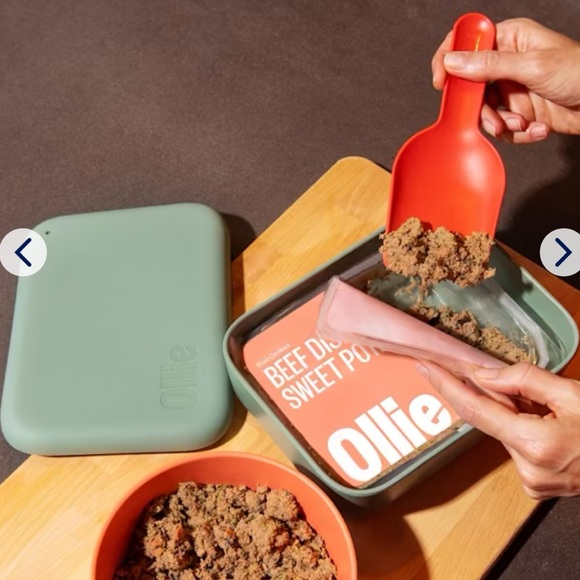 Ollie Puptainer Dog Orange Food Storage Container with Scoop – 7.98” x 6” - NWT - Picture 2 of 5